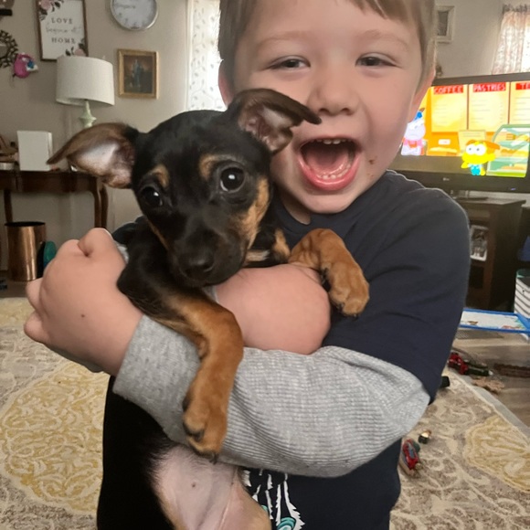 Meet your Posher, Leelan - Picture 5 of 8